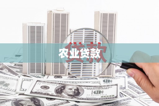 湾仔区农业贷款