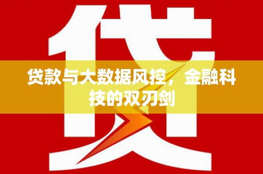 湾仔区贷款与大数据风控，金融科技的双刃剑