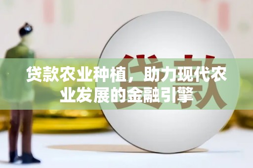 湾仔区贷款农业种植，助力现代农业发展的金融引擎