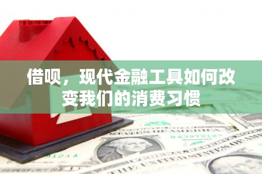 湾仔区借呗，现代金融工具如何改变我们的消费习惯