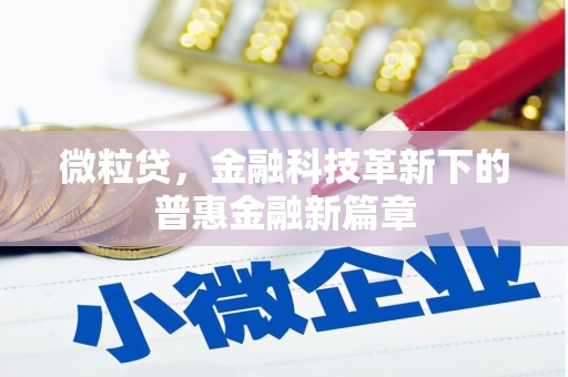 湾仔区微粒贷，金融科技革新下的普惠金融新篇章