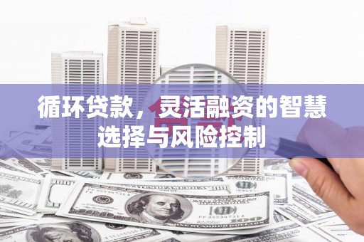 湾仔区循环贷款，灵活融资的智慧选择与风险控制