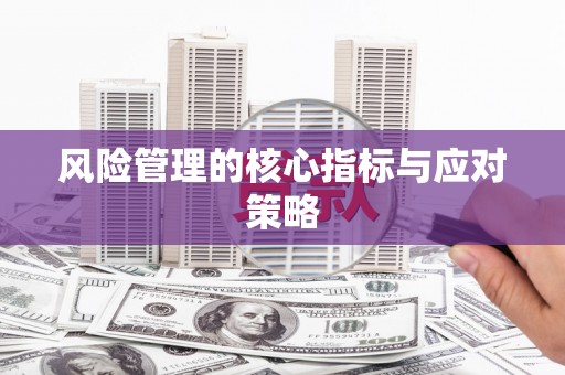 湾仔区风险管理的核心指标与应对策略