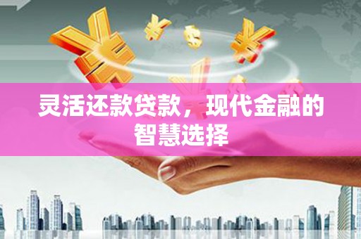 湾仔区灵活还款贷款，现代金融的智慧选择