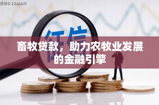 湾仔区畜牧贷款，助力农牧业发展的金融引擎