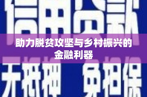 湾仔区助力脱贫攻坚与乡村振兴的金融利器