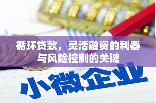 湾仔区循环贷款，灵活融资的利器与风险控制的关键