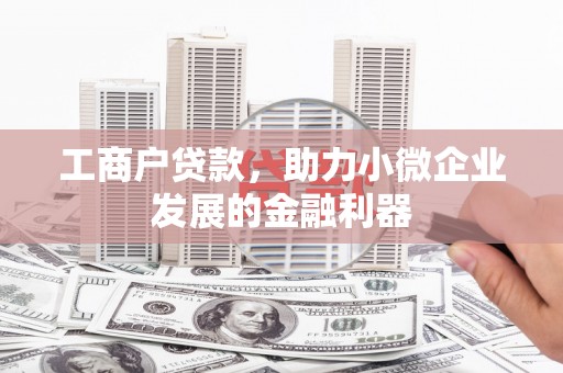 湾仔区工商户贷款，助力小微企业发展的金融利器