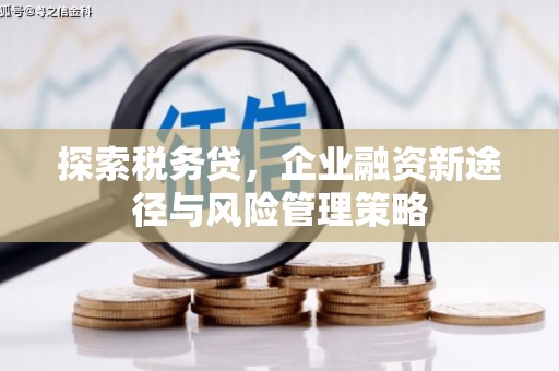 湾仔区探索税务贷，企业融资新途径与风险管理策略
