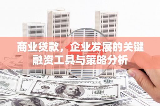 湾仔区商业贷款，企业发展的关键融资工具与策略分析