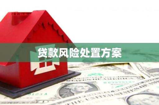 湾仔区贷款风险处置方案