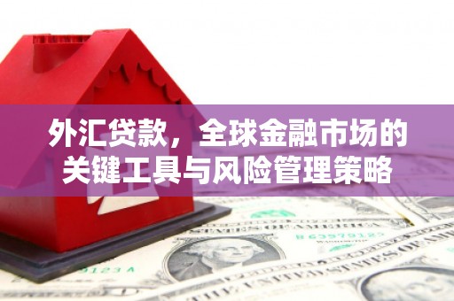 湾仔区外汇贷款，全球金融市场的关键工具与风险管理策略