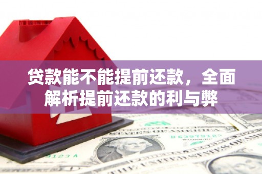 湾仔区贷款能不能提前还款，全面解析提前还款的利与弊