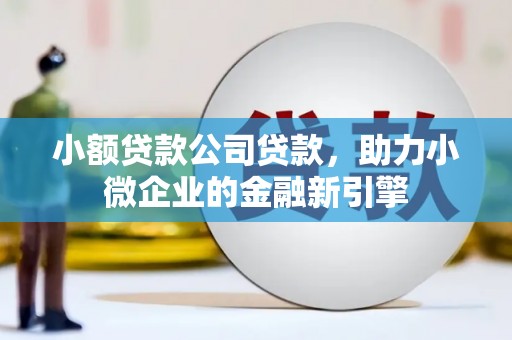 湾仔区小额贷款公司贷款，助力小微企业的金融新引擎
