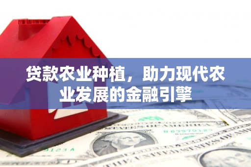湾仔区贷款农业种植，助力现代农业发展的金融引擎