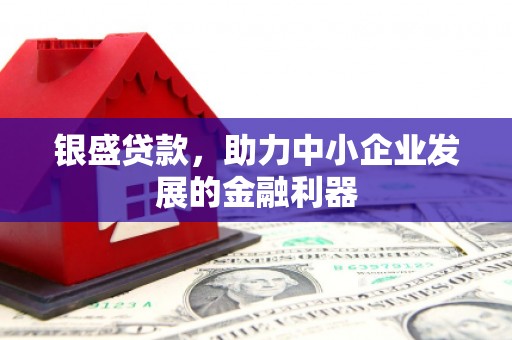 湾仔区银盛贷款，助力中小企业发展的金融利器