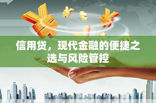 湾仔区信用贷，现代金融的便捷之选与风险管控