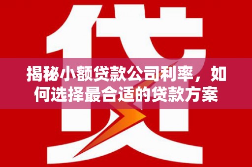 湾仔区揭秘小额贷款公司利率，如何选择最合适的贷款方案