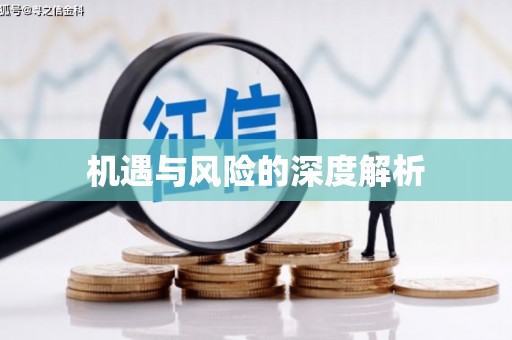 湾仔区机遇与风险的深度解析