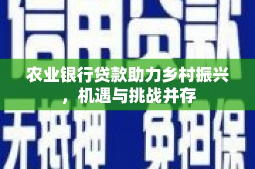 湾仔区农业银行贷款助力乡村振兴，机遇与挑战并存