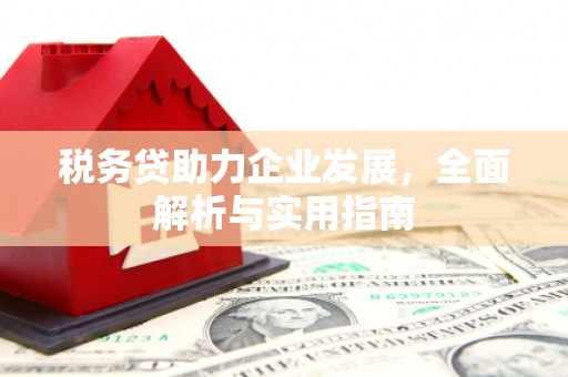 湾仔区税务贷助力企业发展，全面解析与实用指南
