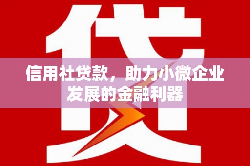 湾仔区信用社贷款，助力小微企业发展的金融利器