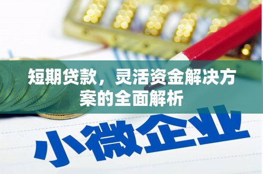 湾仔区短期贷款，灵活资金解决方案的全面解析