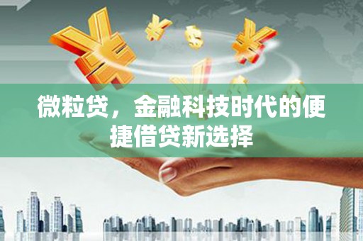 湾仔区微粒贷，金融科技时代的便捷借贷新选择