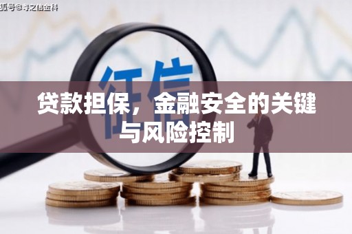 湾仔区贷款担保，金融安全的关键与风险控制