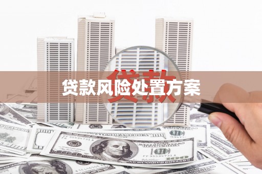湾仔区贷款风险处置方案
