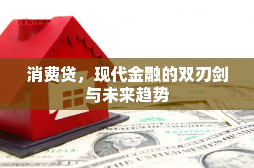 湾仔区消费贷，现代金融的双刃剑与未来趋势
