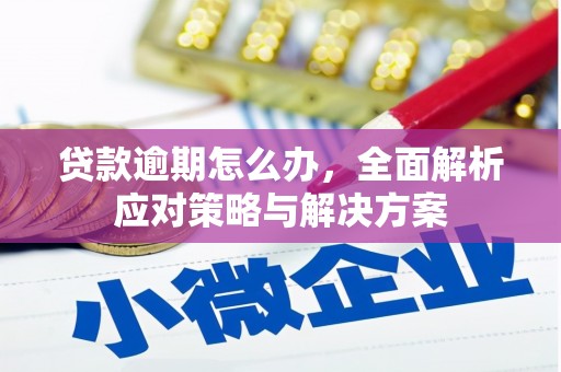 湾仔区贷款逾期怎么办，全面解析应对策略与解决方案