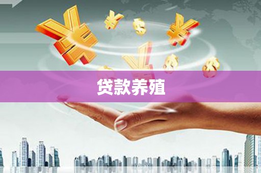 湾仔区贷款养殖