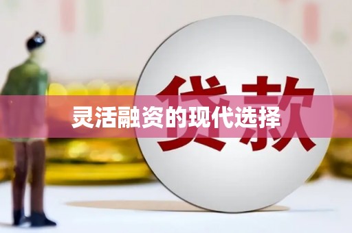 湾仔区灵活融资的现代选择