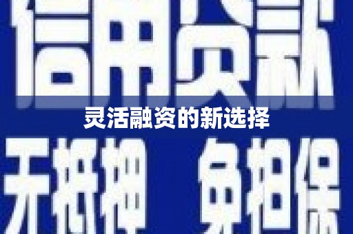 湾仔区灵活融资的新选择