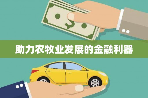 湾仔区助力农牧业发展的金融利器