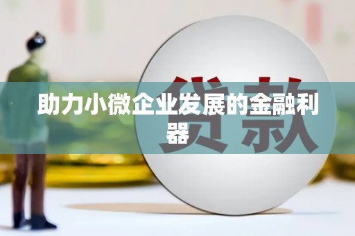 湾仔区助力小微企业发展的金融利器