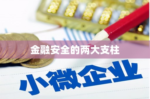 湾仔区金融安全的两大支柱