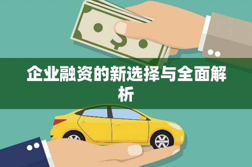湾仔区企业融资的新选择与全面解析