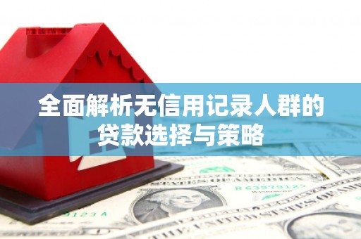 湾仔区全面解析无信用记录人群的贷款选择与策略
