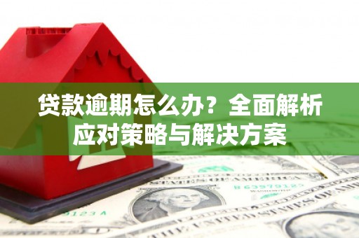 湾仔区贷款逾期怎么办？全面解析应对策略与解决方案
