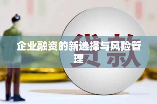 湾仔区企业融资的新选择与风险管理