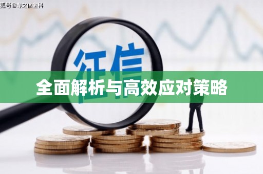 湾仔区全面解析与高效应对策略